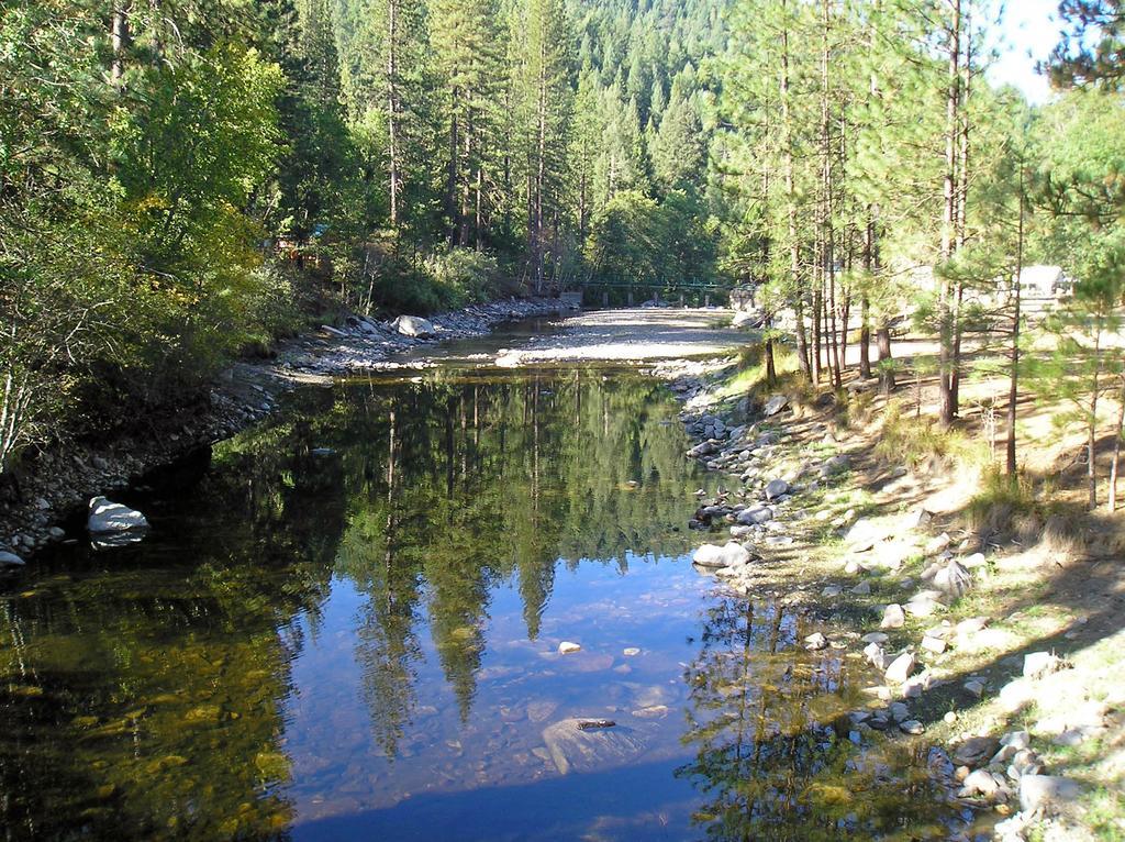 Yosemite Lakes Cabin 40 Harden Flat ภายนอก รูปภาพ